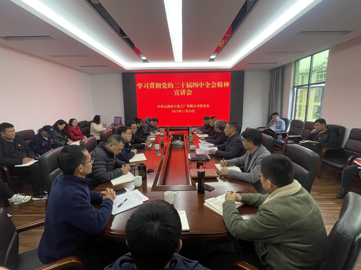 公司黨委召開學(xué)習(xí)貫徹黨的二十屆 四中全會精神宣講會